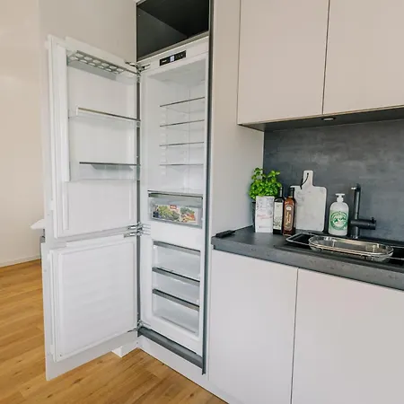 46 Qm - Exklusiv & Angebunden - Werse Loft By Youpartments *